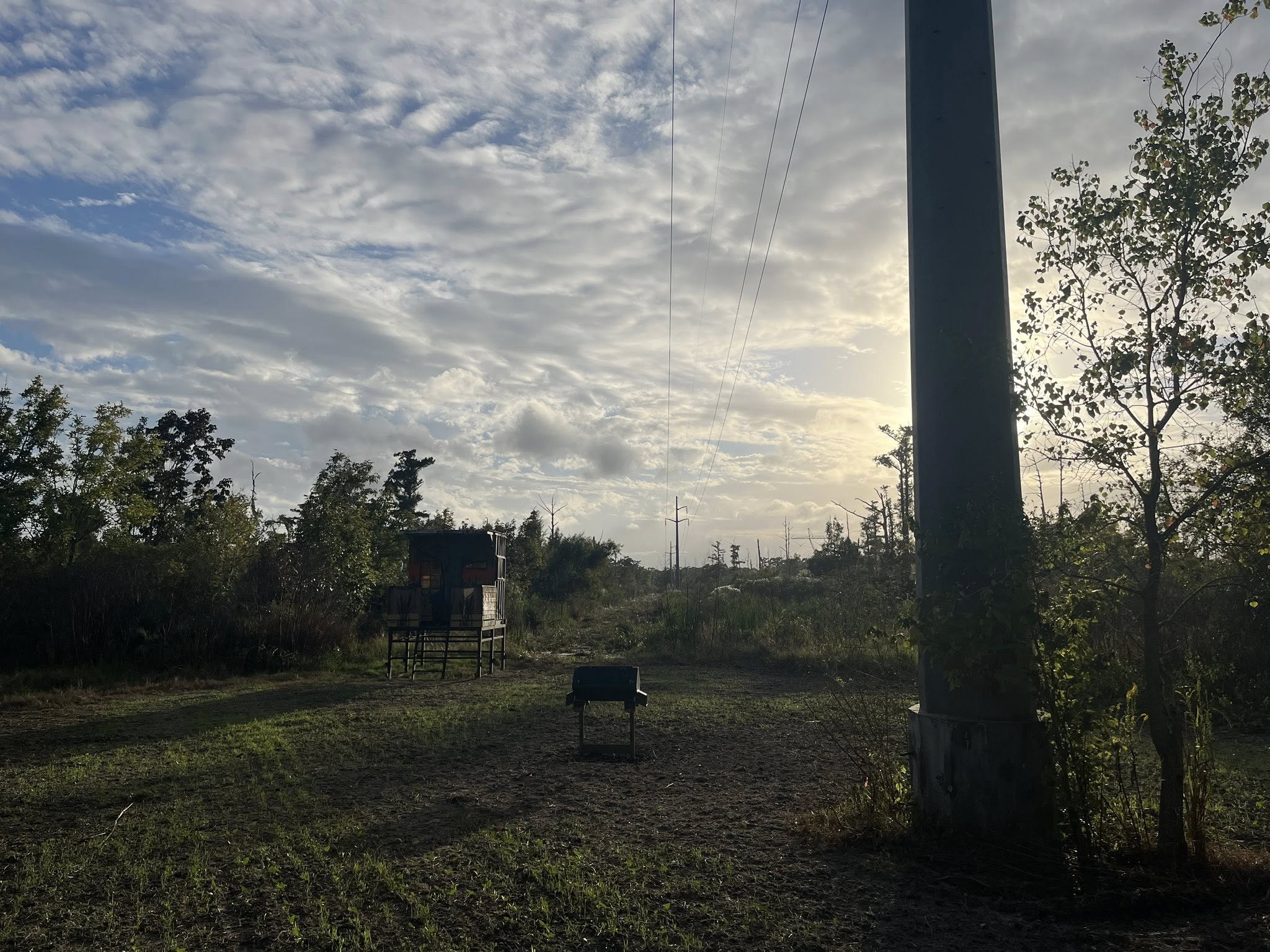 Hunting deer stand at dawn overlooking open terrain