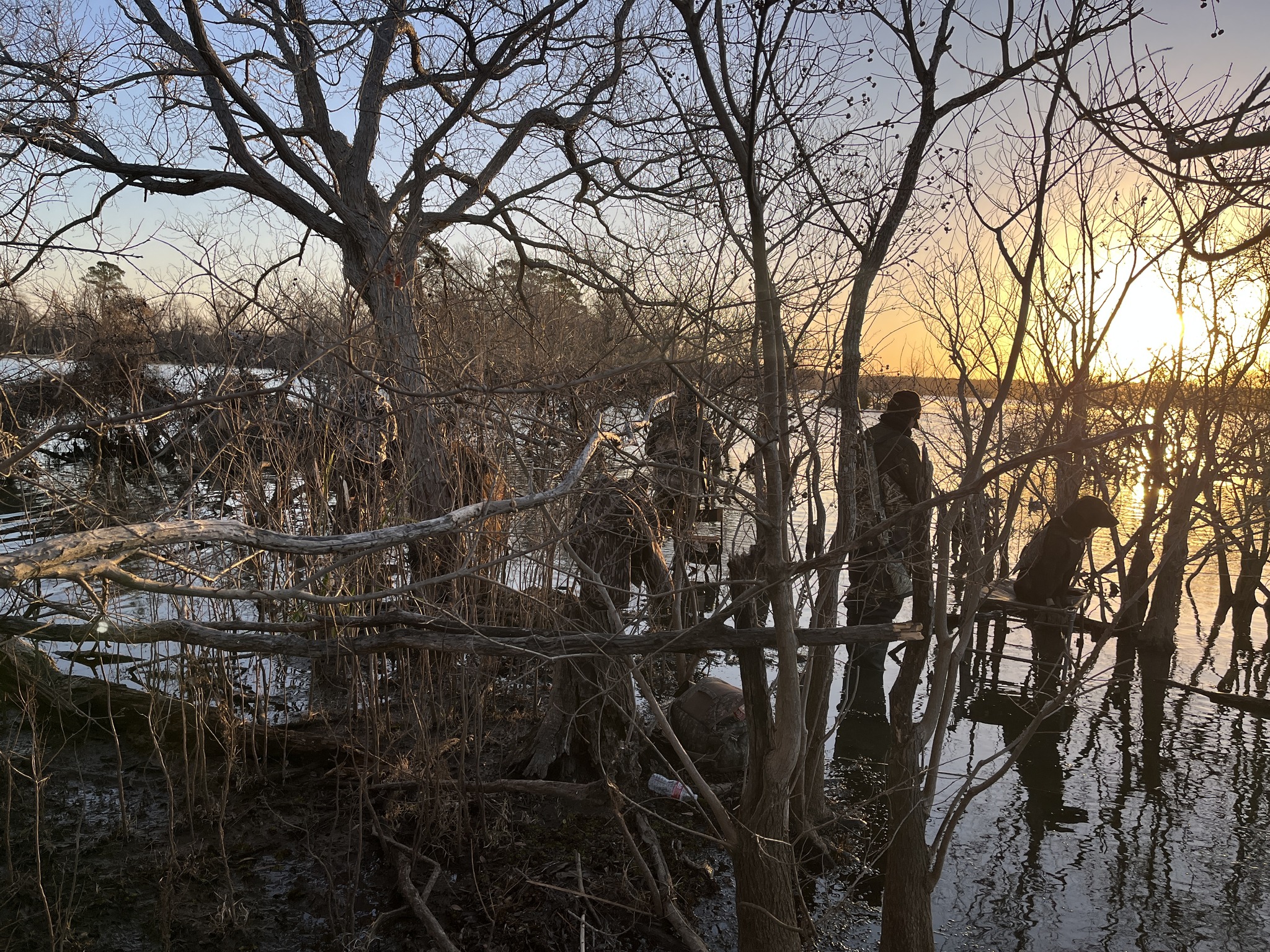 Silhouettes of hunters wading at sunrise